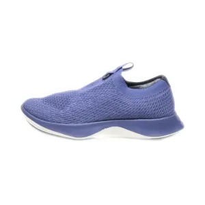 Allbirds Tree Dasher Relay Sport Shoes Wool Blue Colour For Women