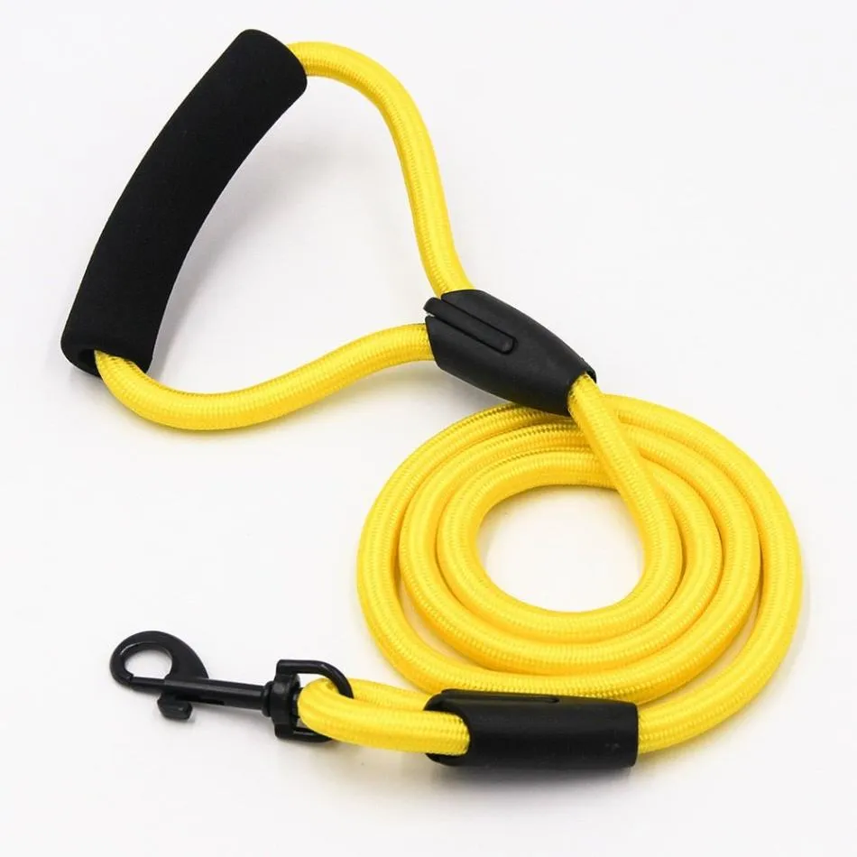 Comfortable 4ft Shock Absorbing Dog Leash with Cushioned Foam Handle