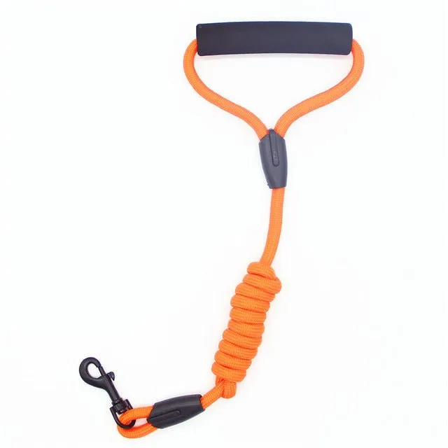 Comfortable 4ft Shock Absorbing Dog Leash with Cushioned Foam Handle