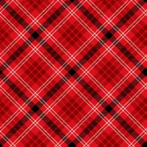 Snow Crew -1285-88 - Bias Plaid Redl